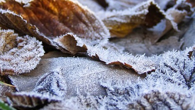 Ударят морозы! В Беларуси объявлен оранжевый уровень опасности
