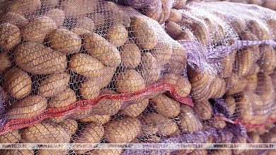 Хватит ли собственных овощей и фруктов до нового урожая, рассказали в МАРТ