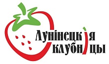 Клубничный сезон откроют международным ягодным форумом в Лунинецком районе