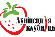 Клубничный сезон откроют международным ягодным форумом в Лунинецком районе