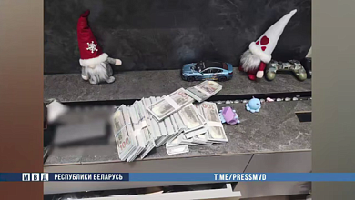 Мошенник "крипто-наставник" задержан в Брестской области 