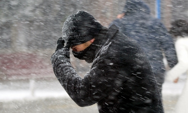 Сильные порывы ветра и осадки! Объявлен оранжевый уровень опасности в Беларуси