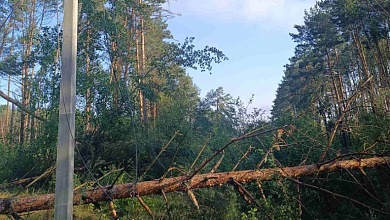 "Брестэнерго": семь районов области наиболее ощутили последствия грозы