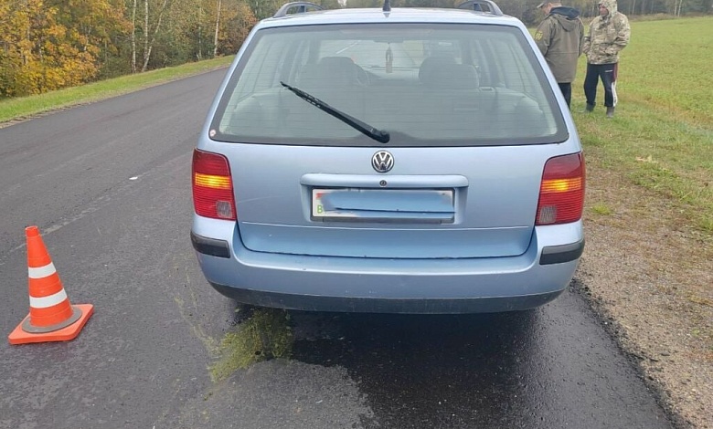 Под колёса авто выбежала косуля в Ляховичском районе