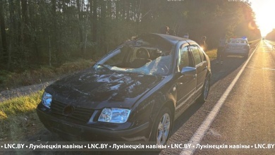 Автомобиль сбил лося в Лунинецком районе