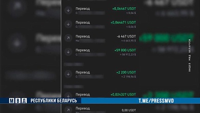 Более 2,5 млн рублей! Задержан криптовалютчик-нелегал в Брестской области