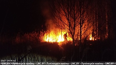 C начала года зафиксировано 36 случаев лесных пожаров в Лунинецком районе