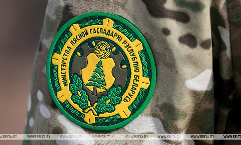 Гослесохрана приступит к дежурствам с 1 марта