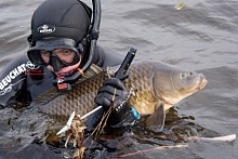 Определены водоемы для подводной охоты и ловли на дорожку в Брестской области и Лунинецком районе