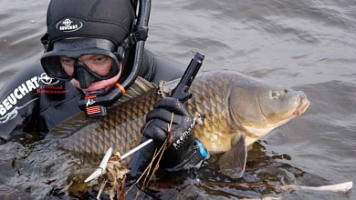 Определены водоемы для подводной охоты и ловли на дорожку в Брестской области и Лунинецком районе