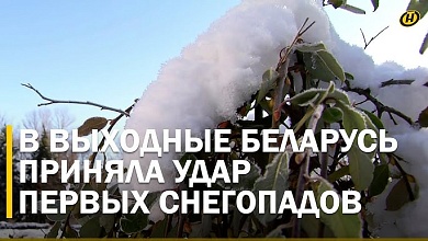 СНЕГОПАДЫ В БЕЛАРУСИ: смертельное ДТП, десятки травм и ушибов. ЧЕГО ЖДАТЬ ЕЩЕ?