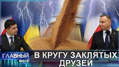 Польша VS Украина: почему в отношения "заклятых друзей" возникло напряжение?