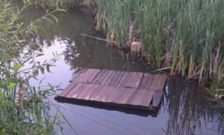 В Брестской области в искусственном водоеме утонул 9-летний мальчик
