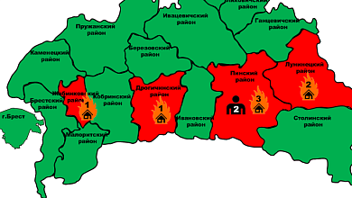 Семь пожаров произошло за сутки в Брестской области. Погибли два человека