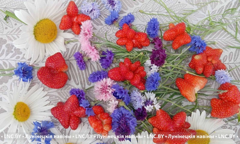 Вырастает и такая клубника! Художества природы в ягоде: поучаствуй в конкурсе 