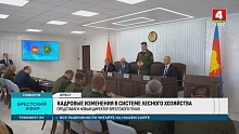 Какие главные приоритеты у нового руководства лесохозяйственной отрасли Брестской области 