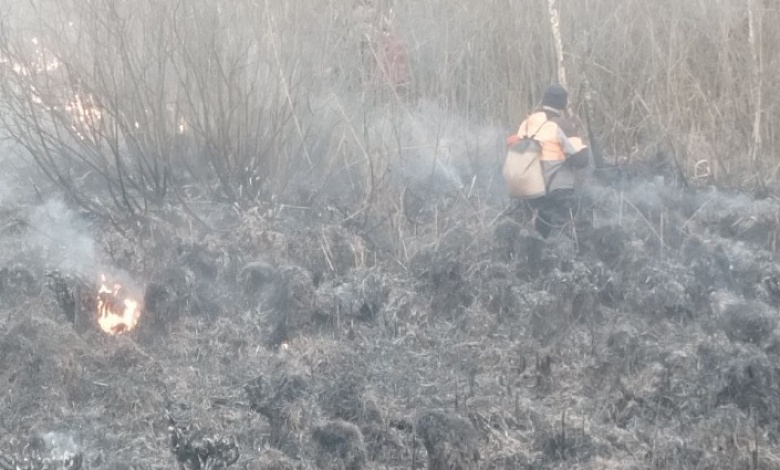 Сразу три пожара обнаружили работники Лунинецкого лесхоза