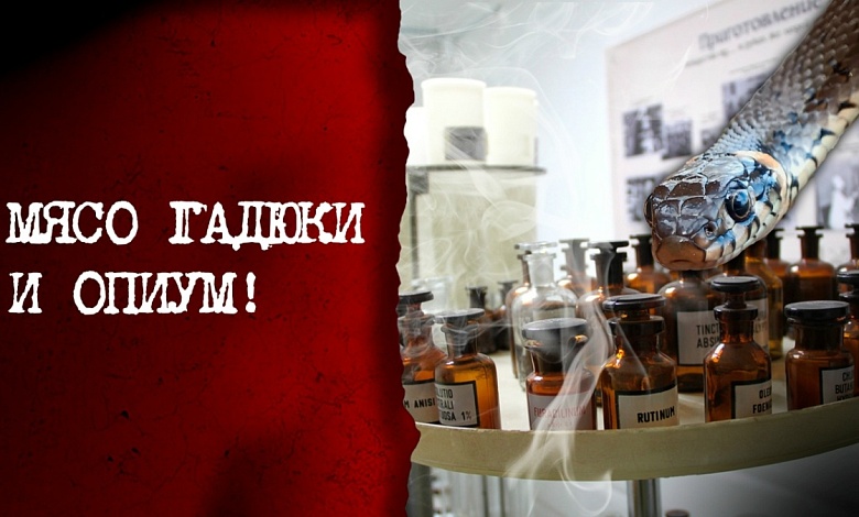 Волшебное снадобье! Про первые аптеки на белорусских землях магдебургского права, хирургию и экзотические лекарства