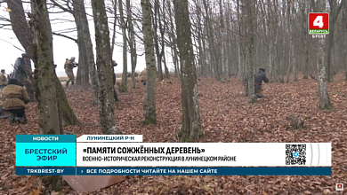 В Лунинецком районе состоялась военно-историческая реконструкция "Памяти сожженных деревень" 