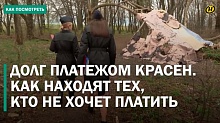 Жизнь в лесу! Как должники скрываются и чем это заканчивается?