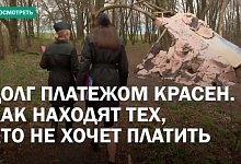 Жизнь в лесу! Как должники скрываются и чем это заканчивается?