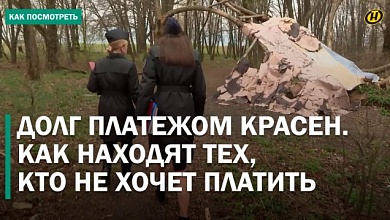 Жизнь в лесу! Как должники скрываются и чем это заканчивается?