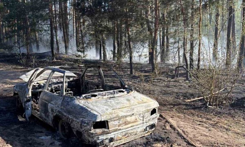 Огонь с автомобиля перекинулся на лесной массив в Калинковичском районе
