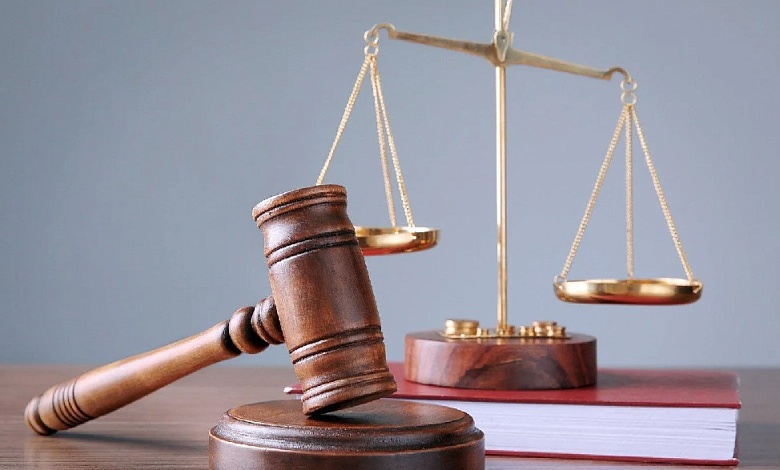 Молодую маму из Лунинца осудили за мошенничество (видео)