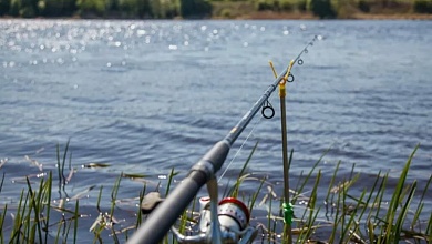Секреты рыбной ловли: как быть с уловом во второй половине лета. Делятся рыболовы