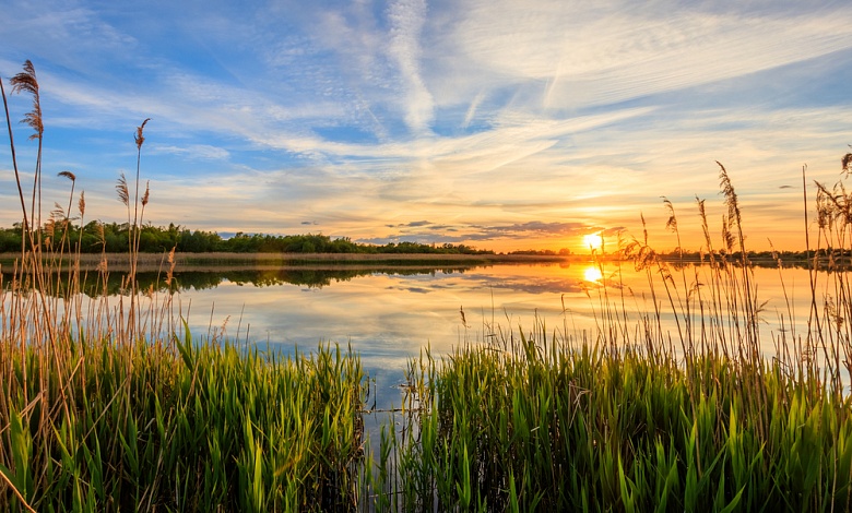 Холодное лето 2025 — за все последние восемь лет!