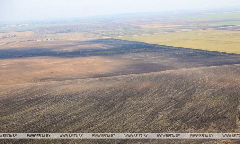 Земельные участки исключены из числа радиационно опасных земель в трех районах Гомельской области 