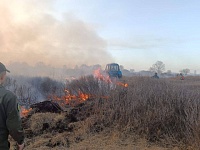 Поджог? Восемь часов тушили лесной пожар в Столинском районе