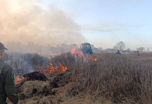 Поджог? Восемь часов тушили лесной пожар в Столинском районе
