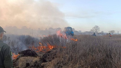 Поджог? Восемь часов тушили лесной пожар в Столинском районе