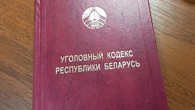 За угон автомобиля житель Лунинца получил 3 месяца ареста