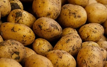 Почему изменили стандарты по размеру продаваемого картофеля, объяснил специалист