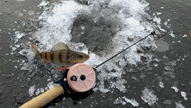 Правила и запреты при зимней рыбалке. Подробности