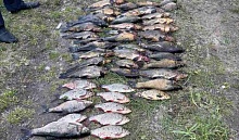 Браконьеров в Столинском районе поймали с поличным. Один из них сбежал, но на следующий день сдался... 