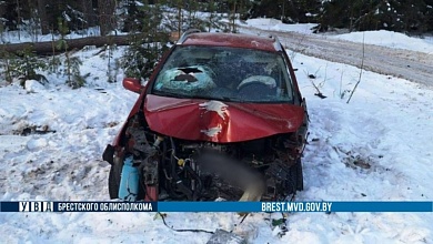 Женщина уснула за рулем и автомобиль вылетел в кювет в Брестской области