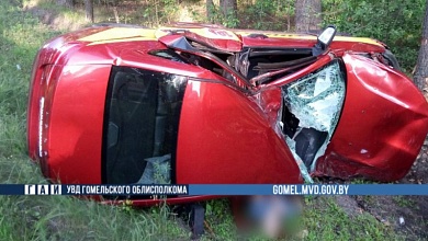 Автомобиль слетел в кювет и врезался в дерево. Водитель погиб | Гомельская область