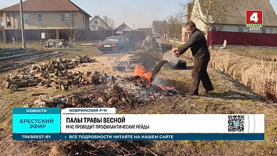 Весенние палы: сотрудники МЧС проводят рейды в Брестской области