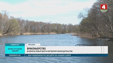 Десятки тысяч ущерба! Новые факты браконьерства выявлены в Брестской области 