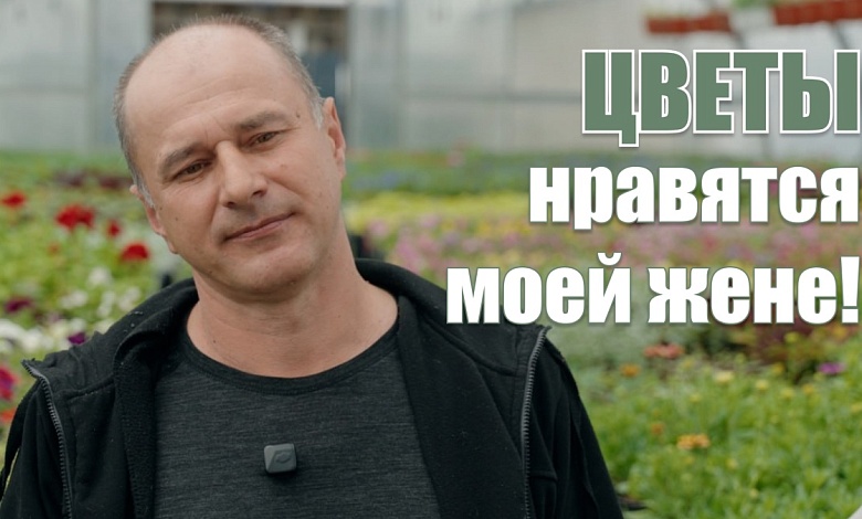 Из города в деревню. Многодетный отец про рассаду цветов, жену, детей и дом «из интернета»