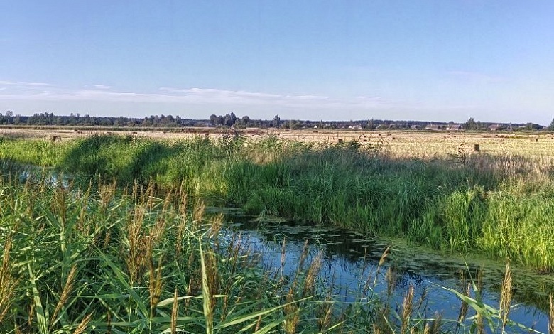 На водохранилище в Барановичах спасли пенсионера, в Малоритском районе обнаружили погибшего мужчину