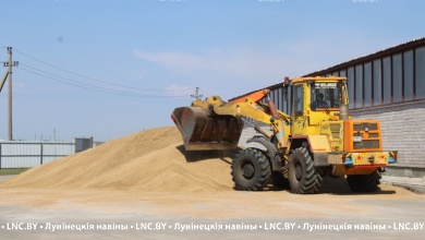 Аграрии Лунинетчины намолотили более 30 тысяч тонн зерна