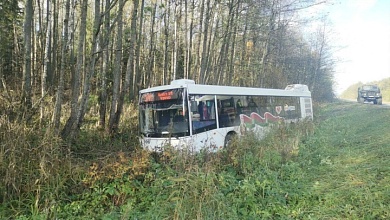 Автобус съехал в кювет в Могилевском районе