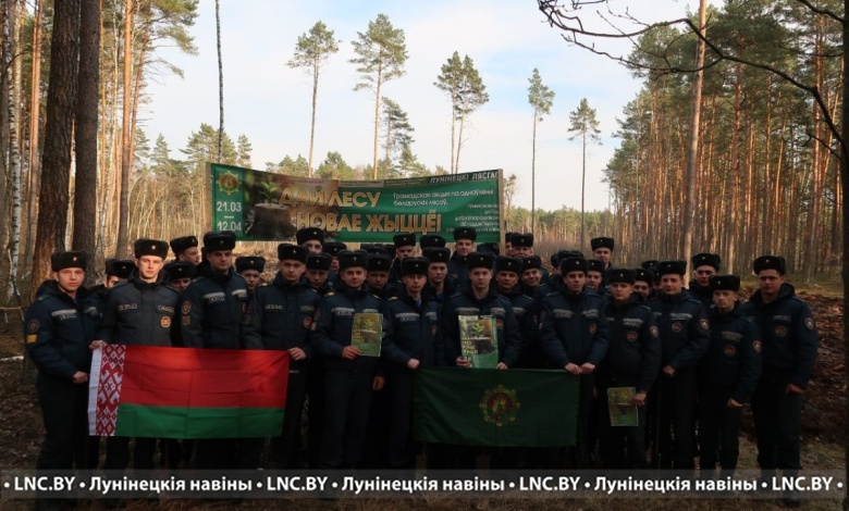 Спасатели дали жизнь новому лесу в Лунинецком районе