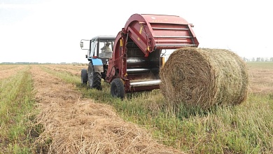 Нарушения заготовки кормов установил Комитет госконтроля