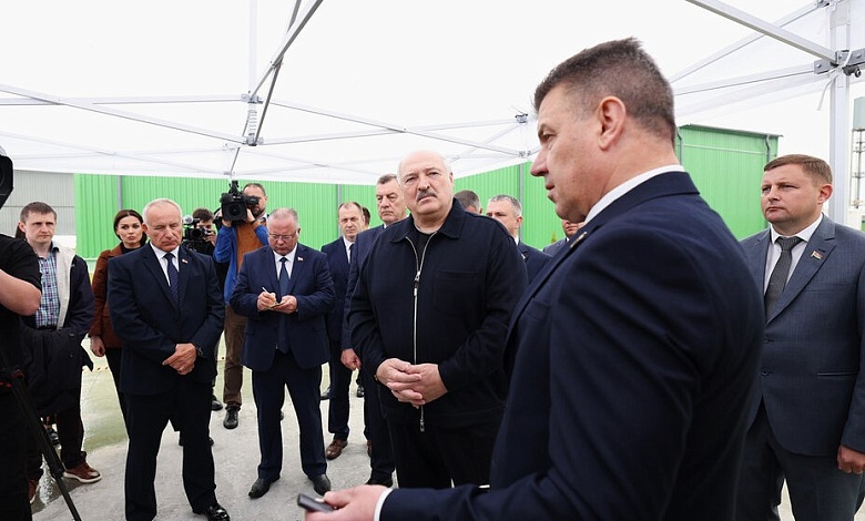 "Это наша перспектива". Александр Лукашенко о производстве пеллет и использовании местных видов топлива