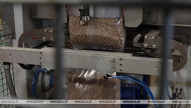 В Брестской области в этом году 15 котельных системы ЖКХ планируют перевести на пеллеты 